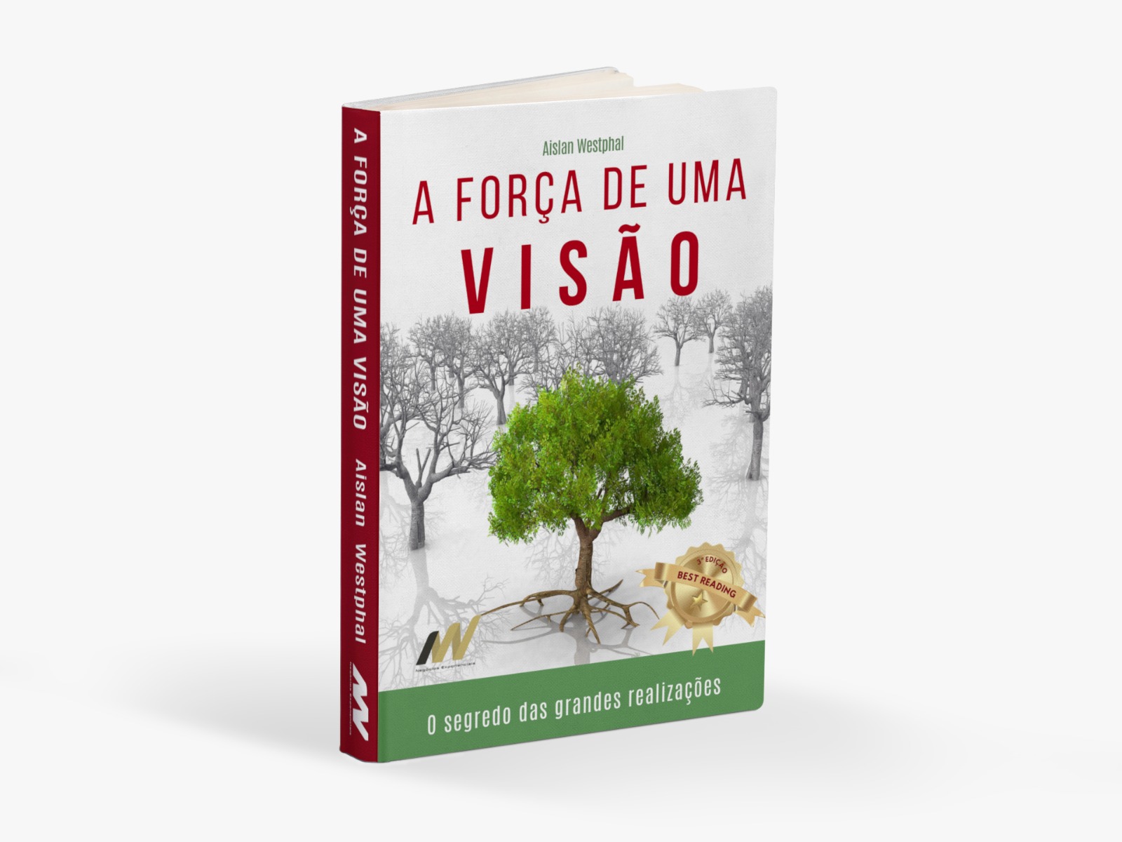 A força de uma visão